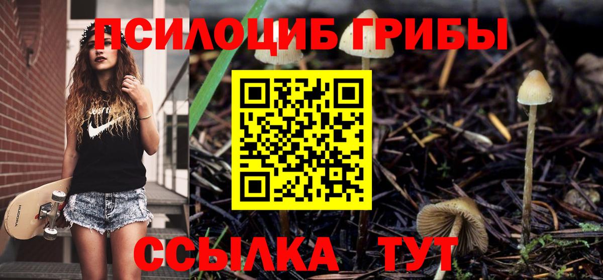 Псилоцибиновые грибы GOLDEN TEACHER  купить закладку  Южноуральск  Вход с VPN 