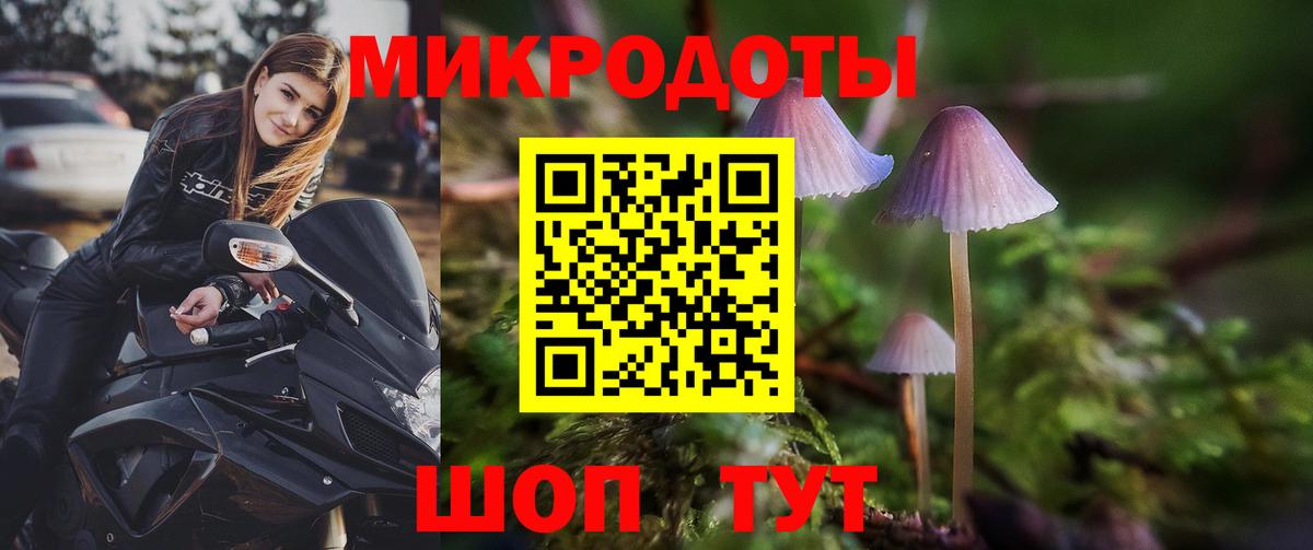 Псилоцибиновые грибы Psilocybe Южноуральск